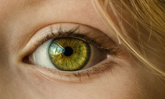 Close-up of a green eye