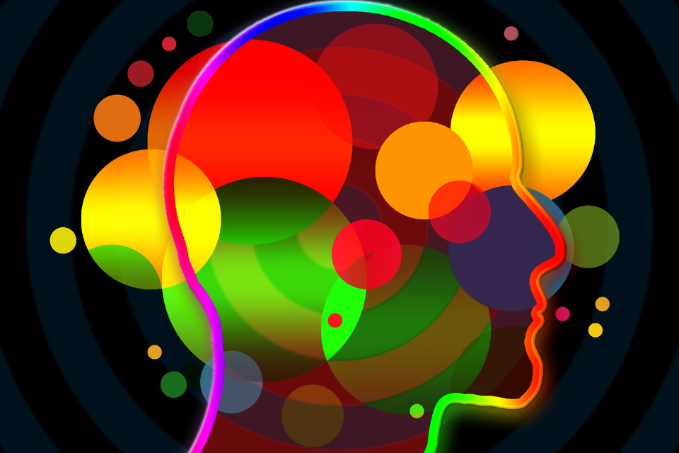 An illustration of a person's head with multi-colored circles inside it
