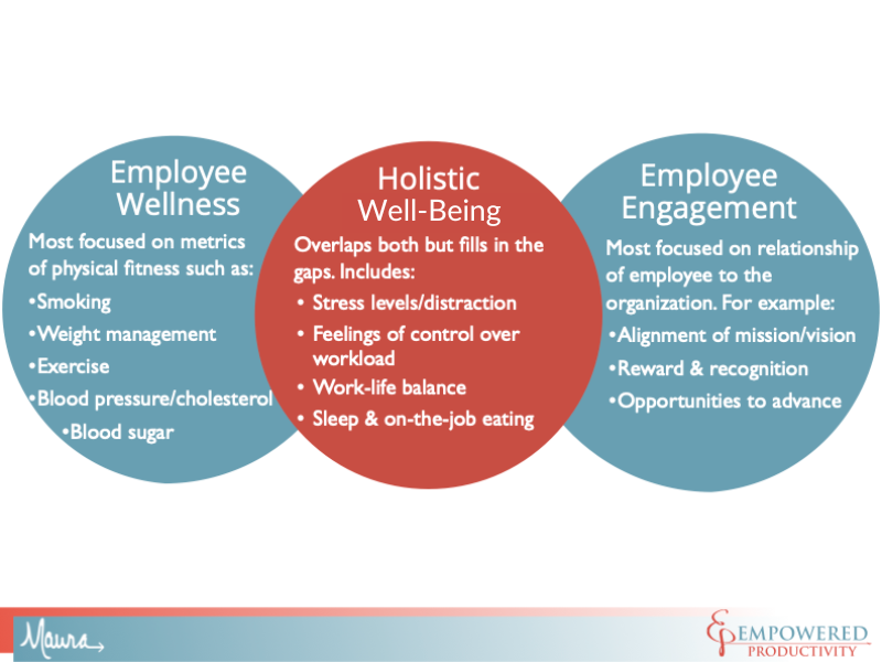 The 3 Spheres of Employee Care are 1. Employee Wellness; 2. Employee Engagement; 3. Holistic Well-Being